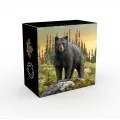 2017 Canadian $20 Majestic Animals: The Bold Black Bear - 1 oz Fine Silver & Gold-plated Coin