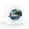2016 Canadian $20 Geometry in Art: The Loon 1 oz Fine Silver Coloured Coin - Coin in Capsule - COA Only