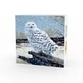 2015 (2016) Canadian $20 Snowy Owl - 1 oz Fine Silver Coin