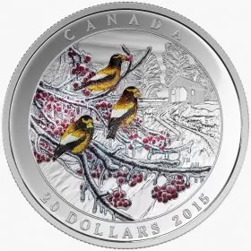 2015 Canadian $20 Weather Phenomenon: Winter Freeze - 1 oz Fine Silver Coin (Glow-in-Black-Light) - Coin In Capsule - COA Only