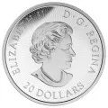 2016 Canadian $20 Maple Leaf Maze - 1 oz Fine Silver Coin