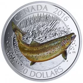 2016 Canadian $20 Big Fish Series: Atlantic Salmon 1 oz Fine Silver Coloured Coin