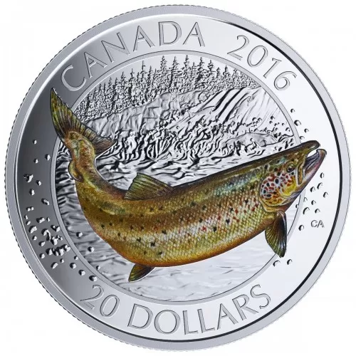 2016 Canadian $20 Big Fish Series: Atlantic Salmon 1 oz Fine Silver Coloured Coin