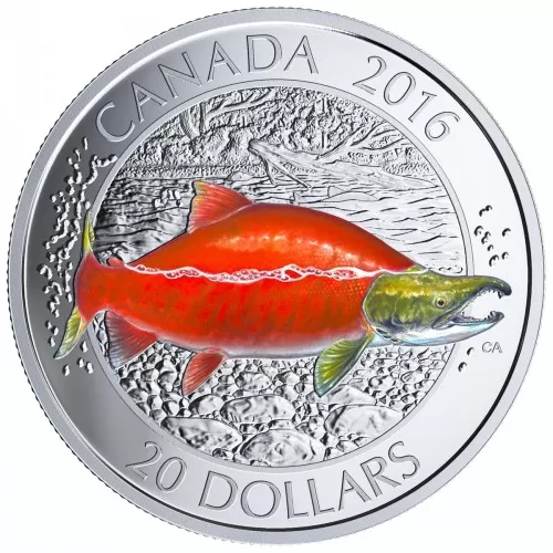 2016 Canadian $20 Big Fish Series: Sockeye Salmon 1 oz Fine Silver Coloured Coin