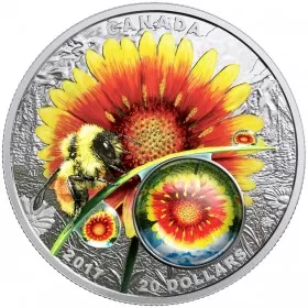 2017 Canadian $20 Mother Nature's Magnification: Beauty Under the Sun - 1 oz Fine Silver Coin