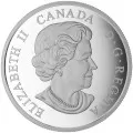 2017 Canadian $20 Brilliant Birch Leaves with Drusy Stone 1 oz Fine Silver Coin 
