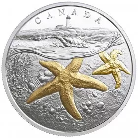 2017 Canadian $20 From Sea To Sea To Sea: Atlantic Starfish - 1 oz Fine Silver & Gold-plated Coin - coins is tarnished