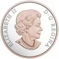 2017 Canadian $20 Best Wishes On Your Wedding Day 1 oz Fine Silver Coin