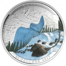 2017 Canadian $20 Landscape Illusion: Snowy Owl - 1 oz Fine Silver Coin
