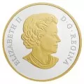 2018 Canadian $20 Tree of Life - 1 oz Fine Silver & Gold-plated Coin