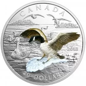 2018 Canadian $20 Approaching Canada Goose - 1 oz Fine Silver 3D Coin - Toned (has gold-tone appearance)