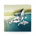 2018 Canadian $20 Geometric Fauna: Orcas - 1 oz Fine Silver Coin