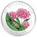 2018 Canadian $20 Little Creatures: Monarch Caterpillar (Venetian Glass) - 1 oz Fine Silver Coin