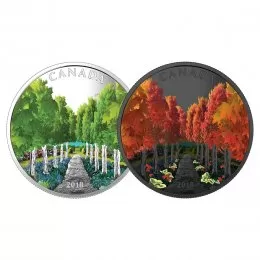 2018 Canadian $20 Maple Tree Tunnel 1 oz Fine Silver Coloured Coin & Black Light Flashlight