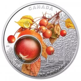 2018 Canadian $20 Mother Nature’s Magnification: Morning Dew - 1 oz Fine Silver 3D Coin