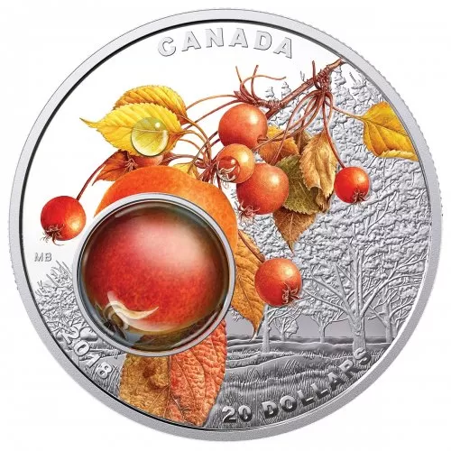 2018 Canadian $20 Mother Nature’s Magnification: Morning Dew - 1 oz Fine Silver 3D Coin