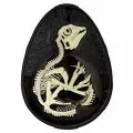 2019 Canadian $20 Hatching Hadrosaur Dinosaur 1 oz Fine Silver Egg-shaped Coloured Coin (Glow-in-the-Dark)
