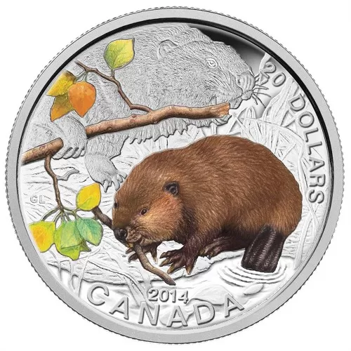 2014 Canadian $20 Baby Animals: Beaver - 1 oz Fine Silver Coin