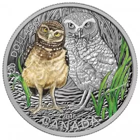 2015 Canadian $20 Baby Animals: Burrowing Owl - 1 oz Fine Silver Coloured Coin