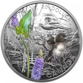 2016 Canadian $20 Baby Animals: Common Loon - 1 oz Fine Silver Coin - tarnished