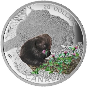 2016 Canadian $20 Baby Animals: Porcupine - 1 oz Fine Silver Coin - No Beauty Box