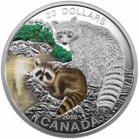 2016 Canadian $20 Baby Animals: Raccoon - 1 oz Fine Silver Coin