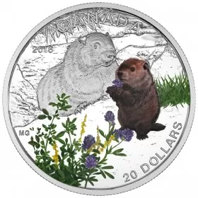 2016 Canadian $20 Baby Animals: Woodchuck - 1 oz Fine Silver Coin