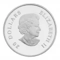 2011 Canadian $20 Crystal Series: Montana Blue Small Crystal Snowflake Fine Silver Coin