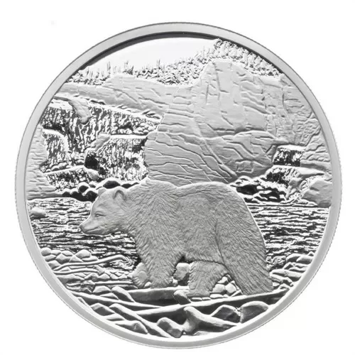 2006 Canadian $20 National Parks Collection #4: Nahanni Fine Silver Coin
