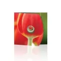 2011 Canada 25 Cent Coin - Tulip with Ladybug