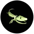 2014 Canadian 25-Cent Prehistoric Creatures: Tiktaalik Coloured Coin (Glow-in-the-Dark)