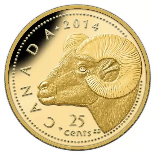 2014 Canadian 25-Cent Rocky Mountain Bighorn Sheep 0.5g Pure Gold Coin