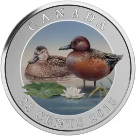 2015 Canadian 25-Cent Ducks of Canada: Cinnamon Teal Coloured Coin