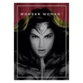 2016 Canadian 25-Cent Batman v Superman: Dawn of Justice™ - 3D Coin and Two Trading Cards