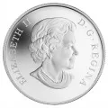 2014 Canadian 25-Cent Ducks of Canada: Pintail Coloured Coin