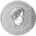 2016 Canadian $25 for $25 True North/Polar Bear Fine Silver Coloured Coin
