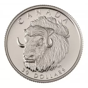 1999 Canadian $30 The Muskox 0.1 g Fine Platinum Coin