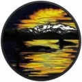 2017 Canadian $30 Animals in the Moonlight: Orcas 2 oz Fine Silver Coloured Coin (Glow-in-the-Dark)