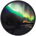 2018 Canadian $30 Arctic Animals and Northern Lights: Polar Bear - 2 oz Fine Silver Coin (Glow-in-the-Dark)