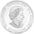 2018 Canadian $30 Arctic Animals and Northern Lights: Polar Bear - 2 oz Fine Silver Coin (Glow-in-the-Dark)