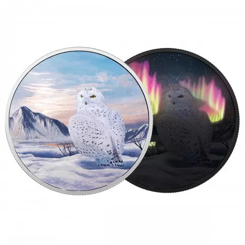 2018 Canadian $30 Arctic Animals and Northern Lights: Snowy Owl - 2 oz Fine Silver Coin (Glow-in-the-Dark)