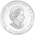 2018 Canadian $30 Arctic Animals and Northern Lights: Snowy Owl - 2 oz Fine Silver Coin (Glow-in-the-Dark)