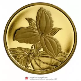 2003 Canada $350 The White Trillium/Ontario 99999 Pure Gold Coin-coin in capsule only, no COA