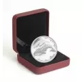 2013 Canadian $3 Life in the North Proof Silver Coin -coin in capsule only