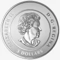 2017 Canadian $3 Heart of Our Nation - Fine Silver Coin - lightly tarnished