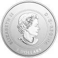 2017 Canadian $3 Spirit of Canada - Fine Silver Coin