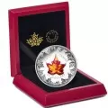 2016 Canadian $50 Murano Maple Leaf: Autumn Radiance - 5 oz Fine Silver Coin