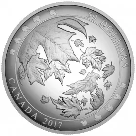 2017 Canadian $50 Maple Leaves in Motion - 5 oz Fine Silver Convex Coin - Lightly turnished