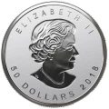 2018 Canadian $50 30th Anniversary of the SML - 3 oz Pure Silver Coin-minor rim toning