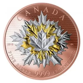 2019 Canadian $50 Maple Leaves In Motion 5 oz Reverse Rose Gold-plated Silver Coin